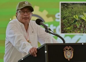 El Presidente de Colombia Gustavo Petro empezará a comprar las “cosechas de coca”