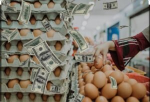Aumenta contrabando de huevos en frontera sur de EEUU