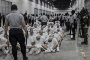 Revelan lista que identifica a los 238 migrantes  venezolanos presuntamente Tren de Aragua deportados a El Salvador por Estados Unidos