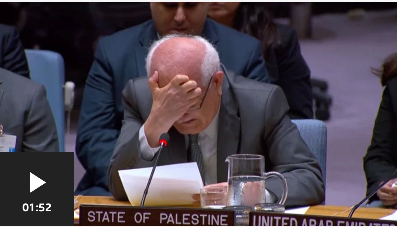 “¿Cómo alguien puede tolerar este horror?”: el llanto del embajador de los palestinos en la ONU por la muerte de niños por hambre en Gaza