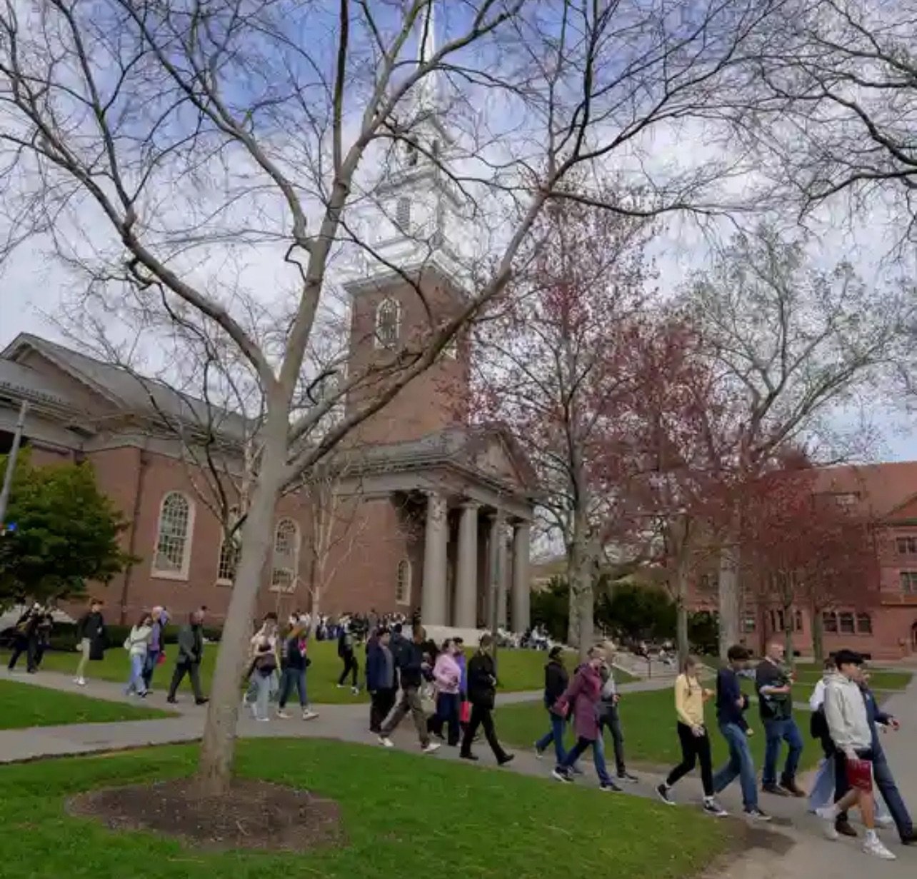 Jueza bloquea veto de Trump a alumnos foráneos de Harvard